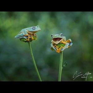 Meet your Posher, Karianne